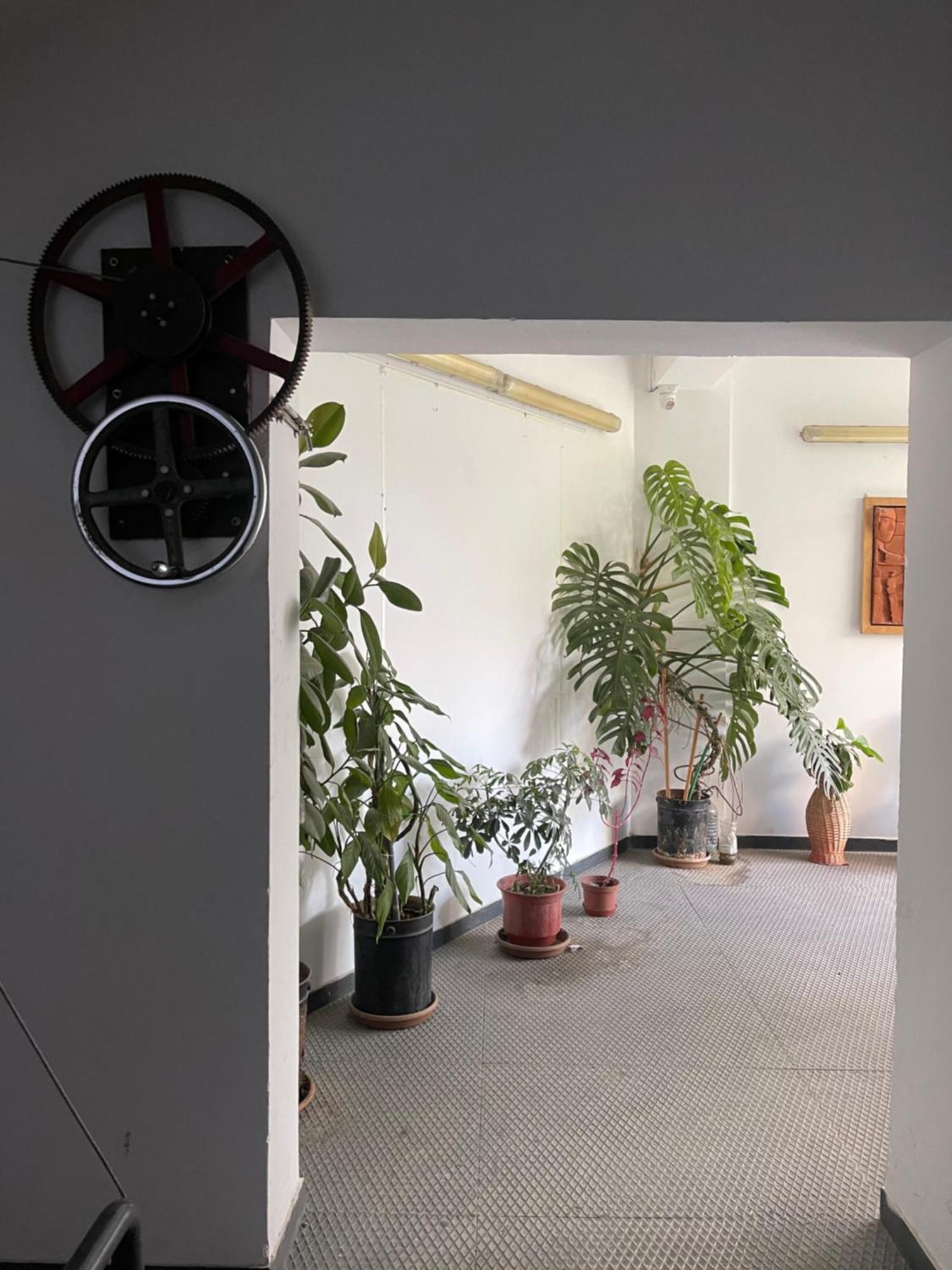 Flex Apartment تيرانا المظهر الخارجي الصورة